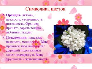Символика цветов. Орхидея- любовь, нежность, утонченность, интимность. Орхидею п