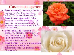 Символика цветов. Роза (красная)- любовь, страсть. "Я люблю тебя", "Я не могу бе
