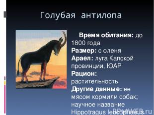 Голубая антилопа Время обитания: до 1800 года Размер: с оленя Араел: луга Капско