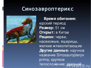 Синозавроптерикс Время обитания: юрский период Размер: 51 см Открыт: в Китае Рац