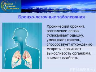 Бронхо-лёгочные заболевания Хронический бронхит, воспаление легких. Успокаивает