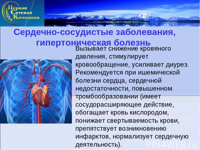 Сердечно-сосудистые заболевания, гипертоническая болезнь Вызывает снижение кровяного давления, стимулирует кровообращение, усиливает диурез. Рекомендуется при ишемической болезни сердца, сердечной недостаточности, повышенном тромбообразовании (имеет…