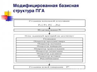 Модифицированная базисная структура ПГА