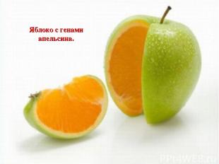 Яблоко с генами апельсина.