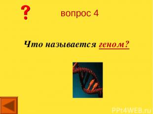 Что называется геном? вопрос 4