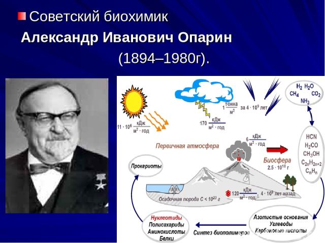 Советский биохимик Александр Иванович Опарин (1894–1980г).