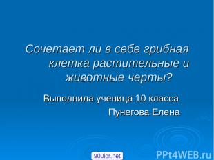 Сочетает ли в себе грибная клетка растительные и животные черты? Выполнила учени