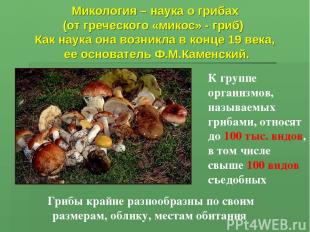 Микология – наука о грибах (от греческого «микос» - гриб) Как наука она возникла