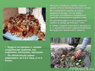 Нельзя собирать грибы вдоль дорог или в промышленных зонах Не собирайте грибы в