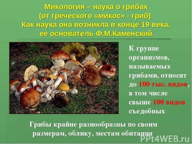 Микология – наука о грибах (от греческого «микос» - гриб) Как наука она возникла в конце 19 века, ее основатель Ф.М.Каменский. К группе организмов, называемых грибами, относят до 100 тыс. видов, в том числе свыше 100 видов съедобных Грибы крайне раз…