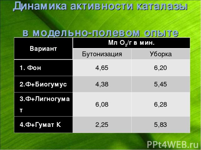 Динамика активности каталазы в модельно-полевом опыте Вариант Мл О2/г в мин. Бутонизация Уборка 1. Фон 4,65 6,20 2.Ф+Биогумус 4,38 5,45 3.Ф+Лигногумат 6,08 6,28 4.Ф+Гумат К 2,25 5,83