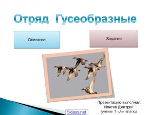 Описание Задания Презентацию выполнил: Ипатов Дмитрий ученик 7 «А» класса 5klass