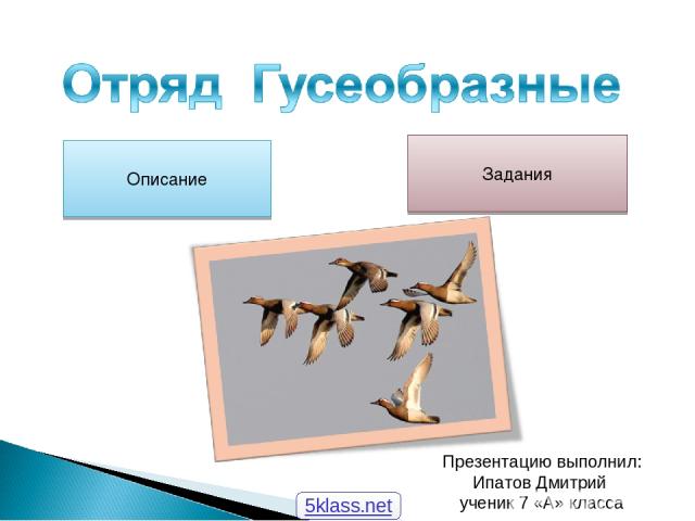 Описание Задания Презентацию выполнил: Ипатов Дмитрий ученик 7 «А» класса 5klass.net