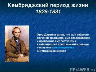 Кембриджский период жизни 1828-1831 Отец Дарвина узнав, что сын забросил обучени