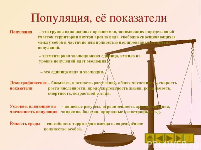 Популяция, её показатели Популяция – это группа одновидовых организмов, занимающих определенный участок территории внутри ареала вида, свободно скрещивающихся между собой и частично или полностью изолированных от других популяций. Условия, влияющие …