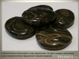 Строматолиты используют и как украшения. На фото видны окатанные куски строматол