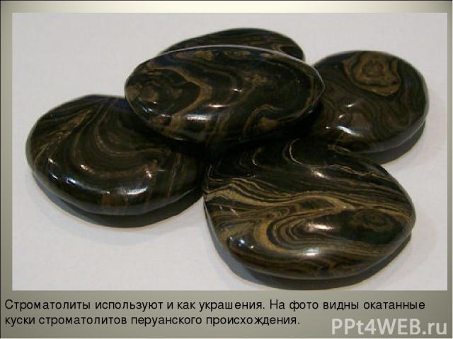 Строматолиты используют и как украшения. На фото видны окатанные куски строматолитов перуанского происхождения.