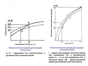 Напряжение СО2 (мм рт. ст.) Содержание СО2 Насыщение гемоглобина кислородом Физи