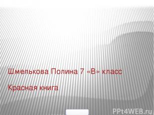 Красная книга Шмелькова Полина 7 «В» класс 5klass.net