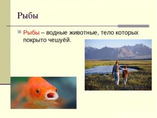 Рыбы Рыбы – водные животные, тело которых покрыто чешуёй.
