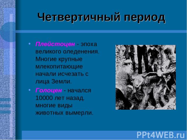 Четвертичный период Плейстоцен - эпоха великого оледенения. Многие крупные млекопитающие начали исчезать с лица Земли. Голоцен - начался 10000 лет назад. многие виды животных вымерли.