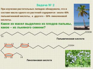 Пальмитиновая кислота Линоленовая кислота При изучении растительных липидов обна