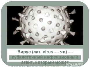 Вирус (лат. virus — яд) — субклеточный инфекционный агент, который может воспрои