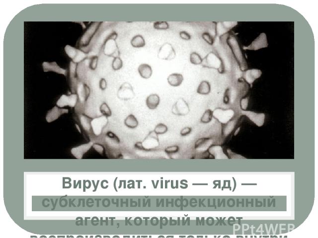 Вирус (лат. virus — яд) — субклеточный инфекционный агент, который может воспроизводиться только внутри живых клеток организма. Они поражают все типы организмов, от растений и животных до бактерий и архей (вирусы бактерий обычно называют бактериофагами).