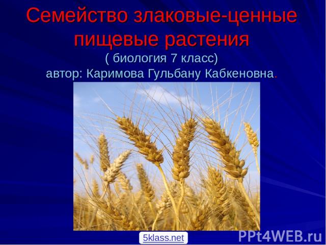 Семейство злаковые-ценные пищевые растения ( биология 7 класс) автор: Каримова Гульбану Кабкеновна. 5klass.net