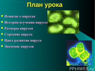 План урока Понятие о вирусах История изучения вирусов Размеры вирусов Строение в