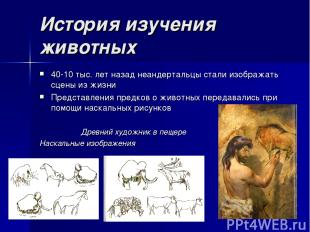 История изучения животных 40-10 тыс. лет назад неандертальцы стали изображать сц