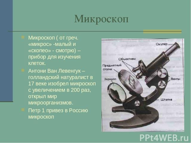 Микроскоп Микроскоп ( от греч. «микрос» -малый и «скопео» - смотрю) –прибор для изучения клеток. Антони Ван Левенгук – голландский натуралист в 17 веке изобрел микроскоп с увеличением в 200 раз, открыл мир микроорганизмов. Петр 1 привез в Россию микроскоп