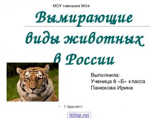 Вымирающие виды животных в России Г.Орёл 2011 Выполнила: Ученица 8 «Б» класса Па