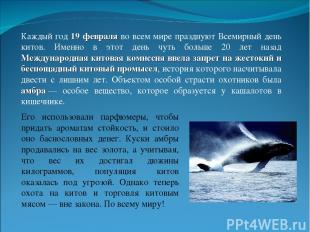 Каждый год 19 февраля во всем мире празднуют Всемирный день китов. Именно в этот