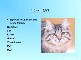 Тест №3 Проклассифицируйте кота Ваську Царство Тип Класс Отряд Семейство Род Вид
