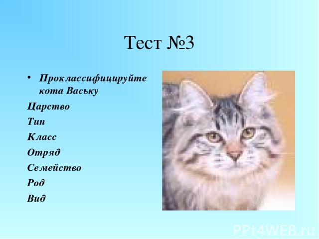 Тест №3 Проклассифицируйте кота Ваську Царство Тип Класс Отряд Семейство Род Вид