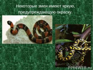 Некоторые змеи имеют яркую, предупреждающую окраску.