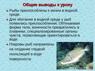 Общие выводы к уроку Рыбы приспособлены к жизни в водной среде. Для обитания в в