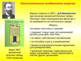 Отличительные особенности вирусов Вирусы открыты в 1892 г. Д.И.Ивановским при из
