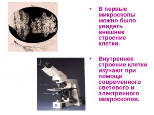 В первые микроскопы можно было увидеть внешнее строение клетки. Внутреннее строе