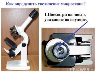 Как определить увеличение микроскопа? 1.Посмотри на число, указанное на окуляре.