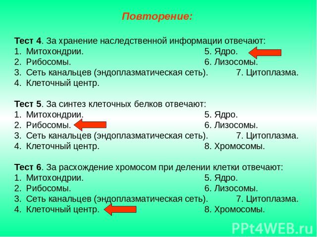 Тест 4. За хранение наследственной информации отвечают: Митохондрии. 5. Ядро. Рибосомы. 6. Лизосомы. Сеть канальцев (эндоплазматическая сеть). 7. Цитоплазма. Клеточный центр. Тест 5. За синтез клеточных белков отвечают: Митохондрии. 5. Ядро. Рибосом…