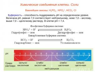 Важнейшие анионы: Н2РО4-, НРО42-, НСО3-, Сl- Буферность – способность поддержива