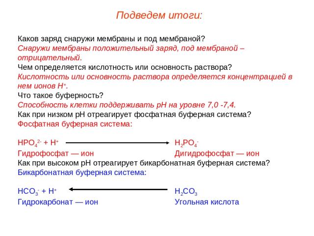 Каков заряд снаружи мембраны и под мембраной? Снаружи мембраны положительный заряд, под мембраной – отрицательный. Чем определяется кислотность или основность раствора? Кислотность или основность раствора определяется концентрацией в нем ионов Н+. Ч…