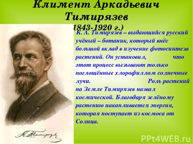 Климент Аркадьевич Тимирязев (1843-1920 г.) К. А. Тимирязев – выдающийся русский учёный – ботаник, который внёс большой вклад в изучение фотосинтеза растений. Он установил, что этот процесс вызывают только поглощённые хлорофиллом солнечные лучи. Рол…