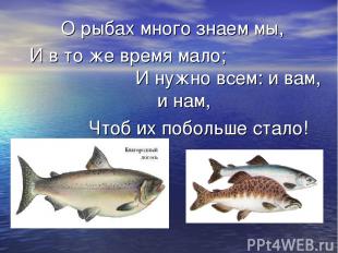 О рыбах много знаем мы, И в то же время мало; И нужно всем: и вам, и нам, Чтоб и