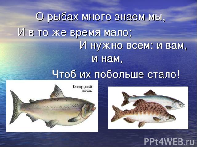 О рыбах много знаем мы, И в то же время мало; И нужно всем: и вам, и нам, Чтоб их побольше стало!