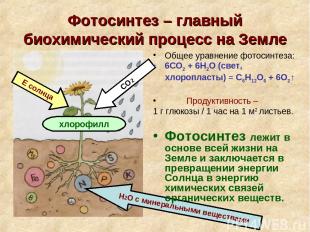 Фотосинтез – главный биохимический процесс на Земле Н2О с минеральными веществам