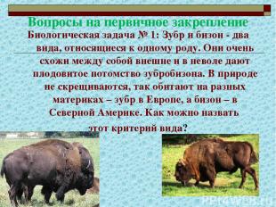 Вопросы на первичное закрепление Биологическая задача № 1: Зубр и бизон - два ви