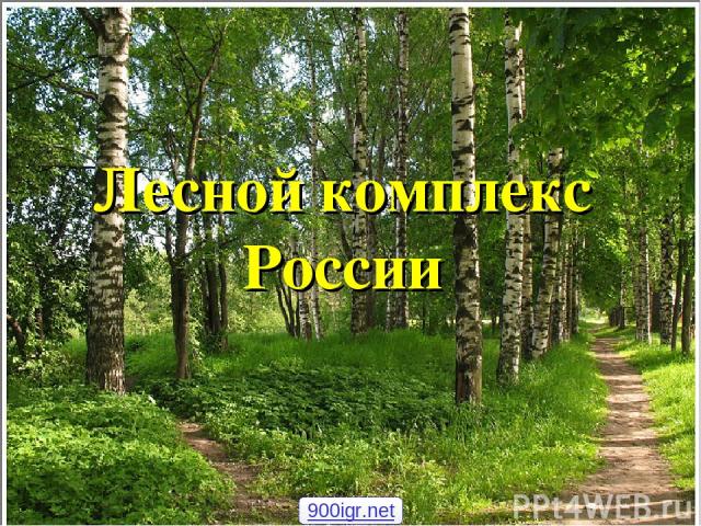 Лесной комплекс России 900igr.net